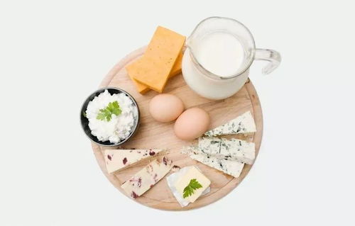 生肖鼠：饮水不足引发的潜在危机