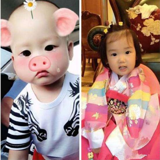 哪种花传说嫩让家庭迎来可爱的儿子？