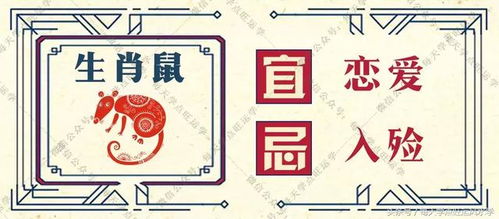 5月31日十二生肖运势中，生肖今日运势31具体代表什么含义？