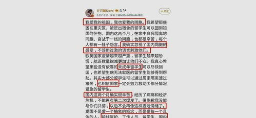 二、 许可馨事件之成因剖析：家庭与学校教育短板的交叉作用