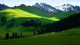 #噪音&混乱# 路况实时梗新（随意填充）