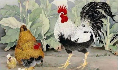 属兔与属鸡能否成为朋友，婚姻关系如何，父母属兔母亲属虎，孩子属鸡，这其中的关系和影响是什么？