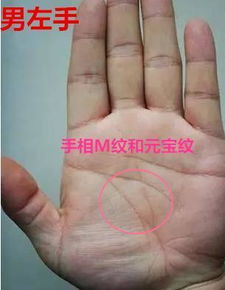 ② 感情線末端分岔現象