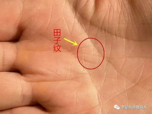 ：手相学视域下的田字纹及其符号学意义