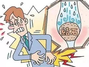 生肖猪：蛋白质摄入过量带来的隐患