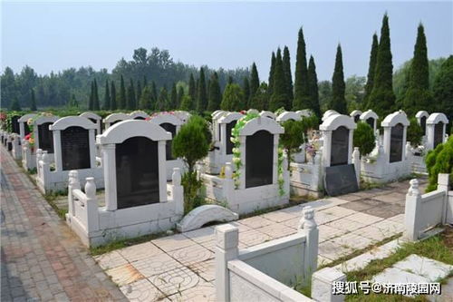 二、 周围与实用性考量