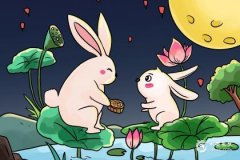 这些坑千万别踩！避雷指南来了