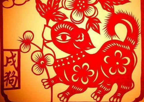 属狗男和属龙女婚配，他们的结合会怎样？