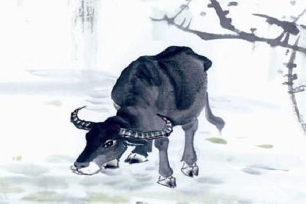 1985年属牛人群的运势深度解析：困阻与挑战并存的考验期