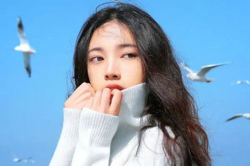 宸宝的名字：语义的美学构建与文化底蕴基因传承