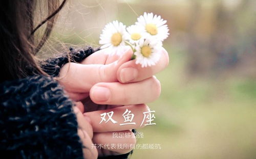哪些星座坚持自我不愿随波逐流，能活出自己的精彩呢？