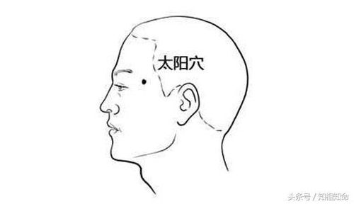 ：面相美学中鼻梁中正的命理学意涵及其成因探究
