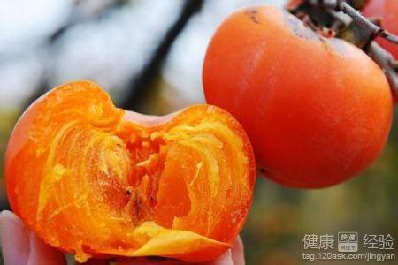 一、 柿子同食禁忌之理据：现代医学与传统观念的交融