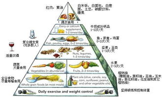 合理膳食：构建健康饮食结构