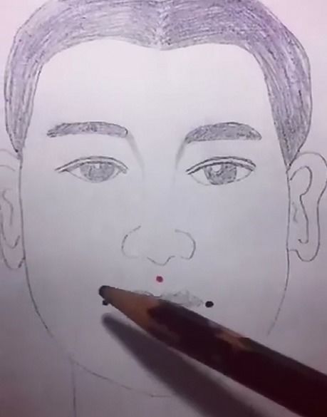 人中的构造与生理关联