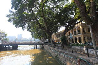 沙面三街老街风情游：一场穿越时空的混乱之旅