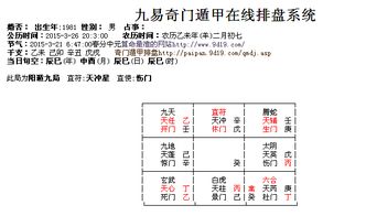 三、 个人命局解析与职业规划提议（案例）