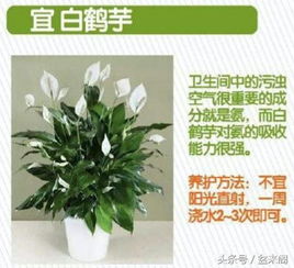 宜忌事项