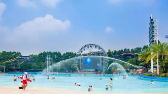 注意事项：平安第一毕竟命是自己的