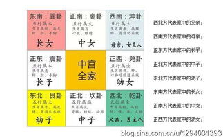 三、 认知-行为协同改进模式与逆境反馈系统构建