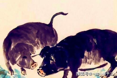 第四个大魔王：属猪的