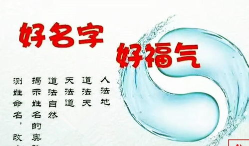 先说说哪些是八字？为哪些要用它来起名？