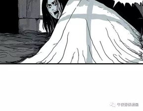 一、 生肖星座与命运象征：汤姆的“蛇”与艾米丽的“虎”