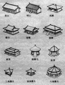 1.2 时代变迁中的持续性与适应环境性