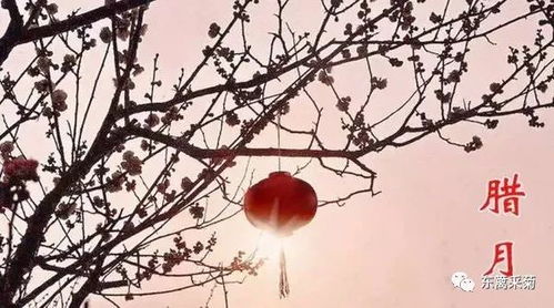 2026年农历腊月交房和建房分别有哪些黄道吉日？