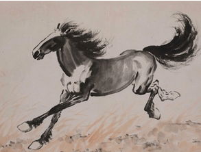 2026年属马运势如何调整？每月运势详解具体指什么？