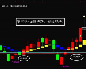 六、 “龙腾虎跃”：正邪兼具引起人生变化波动阐释