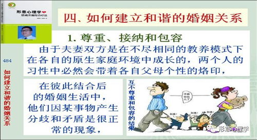 属相相合对情感和谐的促进作用