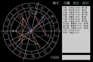 紫微星座命理分析，我的命盘如何解读？