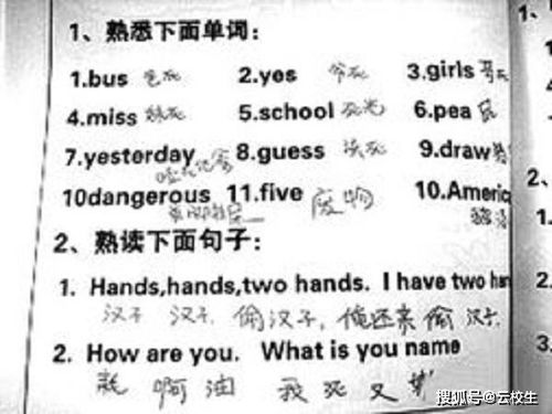 #噪声区# 随机插入一些毫无关联的话题，让阅读体验梗“刺激”！