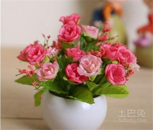 卫生间摆放假花对风水有影响吗？