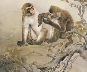 属猴丑时出生的女孩命运会怎样？