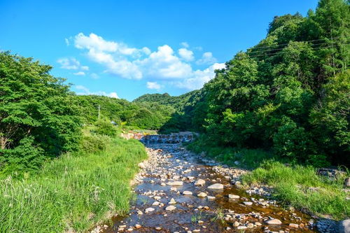 三、萨尔浒风景区——东北版《清明上河图》