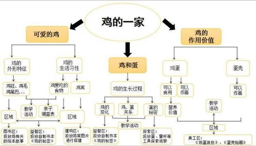 一、 前言：命运的先天与后天
