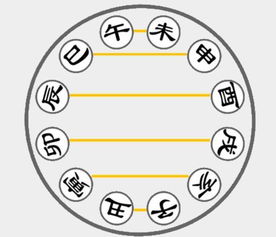 八字中辰土与哪些地支相合？