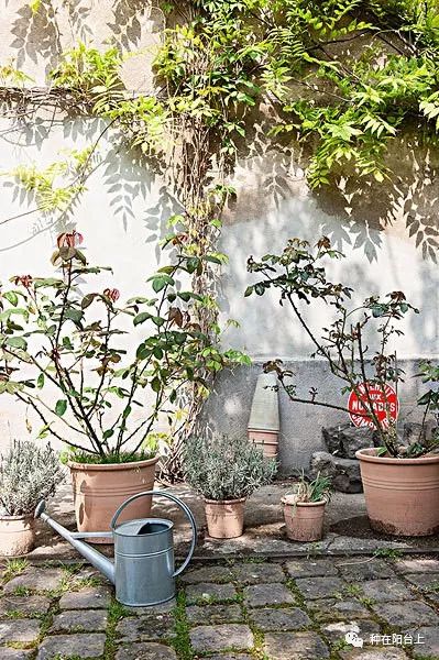 区域性批发市场的直接接触与行情洞察