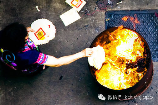 地域差异的影响