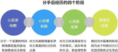 5. 属龙者的理性分析与问题解决导向