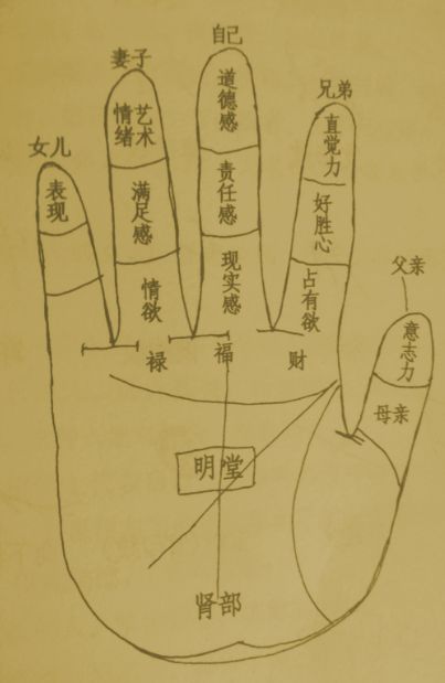 三、  辅助纹路与特殊符号：财富潜力的深层解码