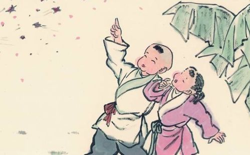 生命周期中的关键节点与统计学特征分析