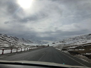 青海到濮阳自驾游：一场说走就走的折磨