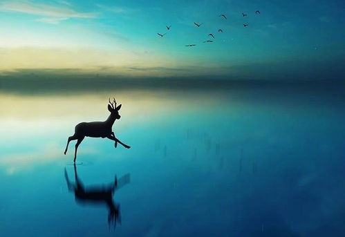 1. 生肖元素 (容易俗气!)