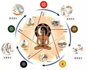 身弱八字全阳女性如何通过命格特点实现财富积累？