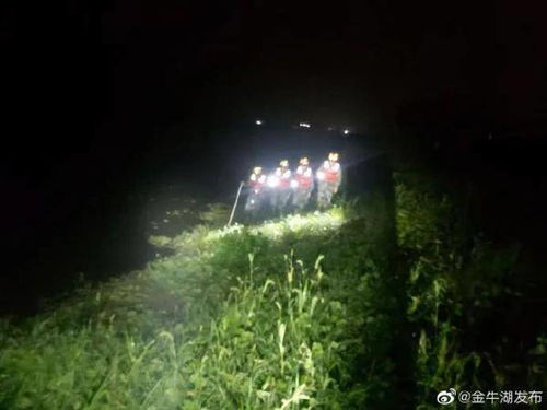 是谁在夜幕较低垂时揭开这场雷雨的序幕，让雷声轰鸣、暴雨倾盆？