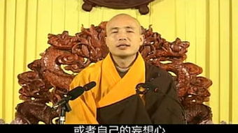 生命伦理的悲剧：无辜受难与痛楚的具象化