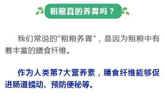 对策建议：生活方式、 风水调适与心态管理